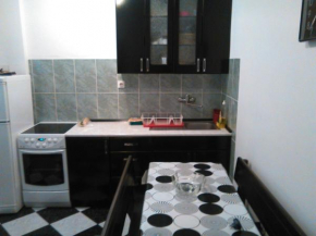 Apartment Srđan